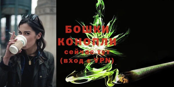 молекула духа Дмитриев
