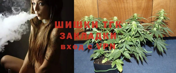 молекула духа Дмитриев