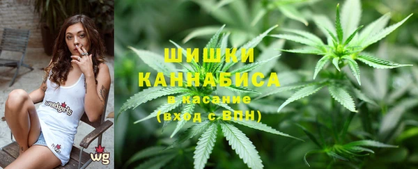 молекула духа Дмитриев