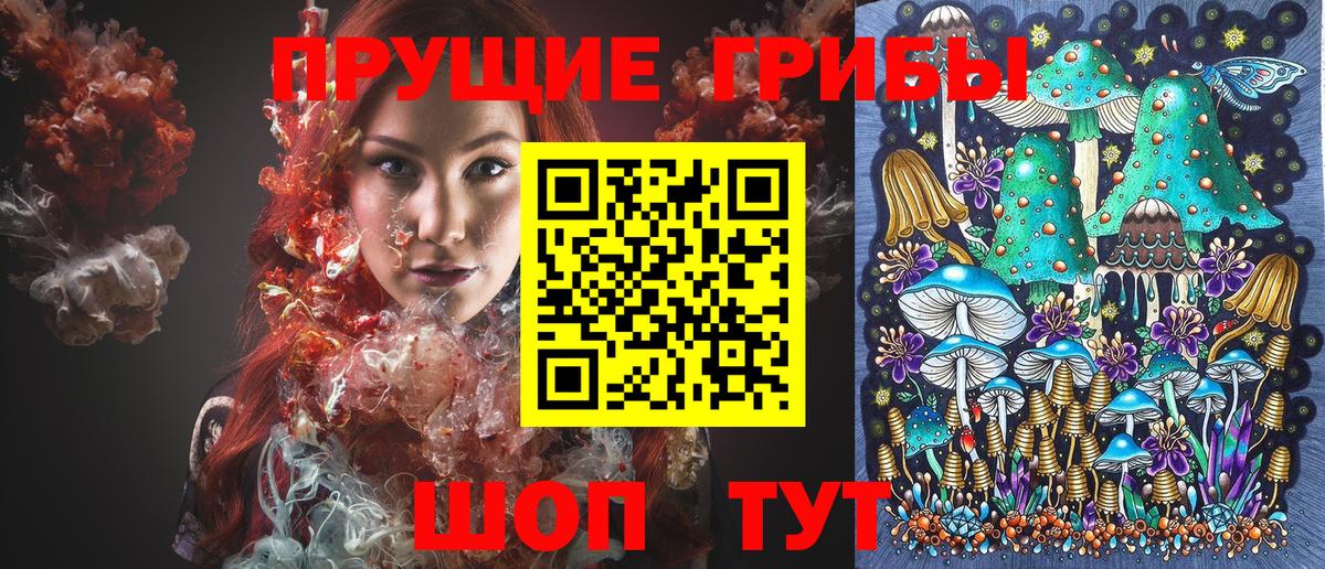 Псилоцибиновые грибы Cubensis Верхний Уфалей